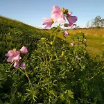 Kranichgrund * Ludershagen